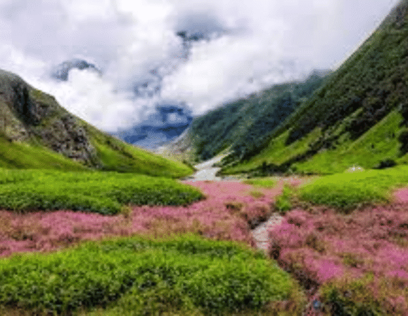 Valley of Flowers