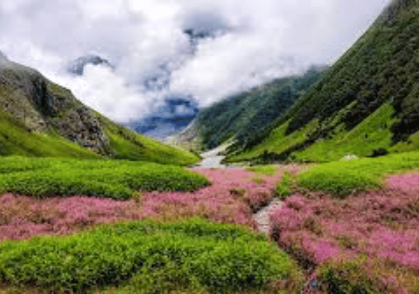 Valley of Flowers and Sri Hemkund Sahib 6 Days / 5 Nights
